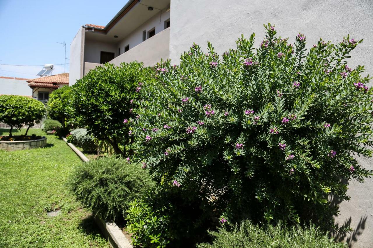 Yannis Apartments Άφυτος Εξωτερικό φωτογραφία